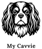 My Cavvie